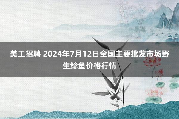 美工招聘 2024年7月12日全国主要批发市场野生鲶鱼价格行情