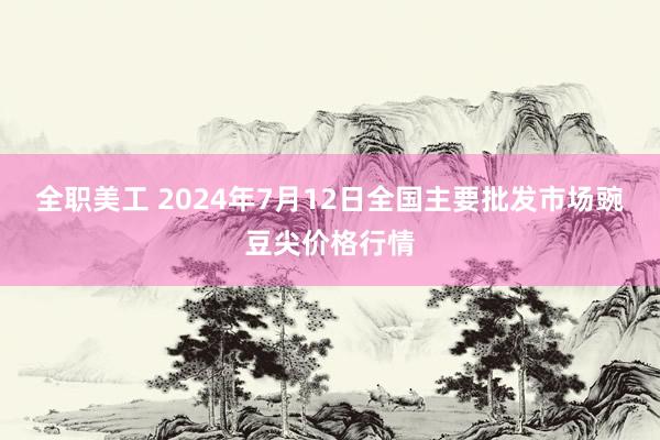 全职美工 2024年7月12日全国主要批发市场豌豆尖价格行情