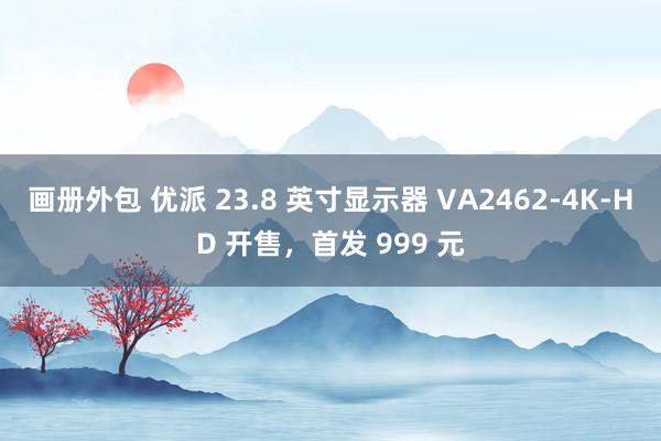 画册外包 优派 23.8 英寸显示器 VA2462-4K-HD 开售，首发 999 元